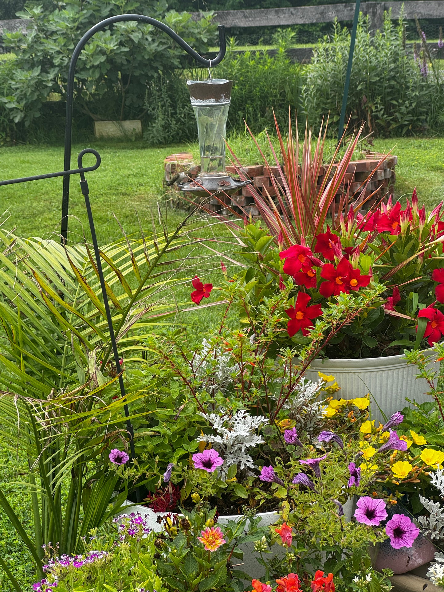 VIRTUAL "Productive, Pest-Resilient Garden System" Workshop (March Dates)