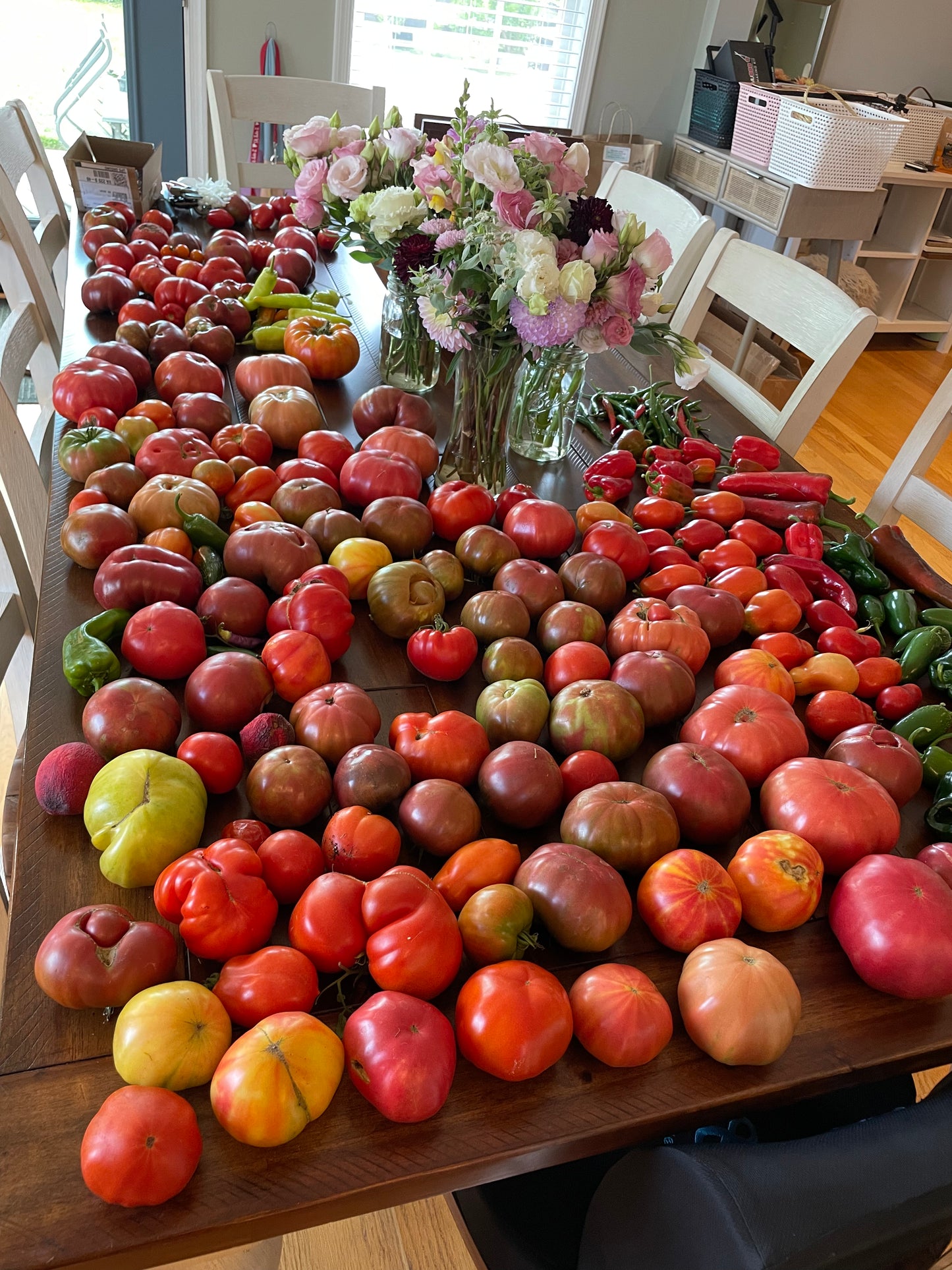 VIRTUAL Workshop - Tomatoes: The Juicy Details (April Dates)