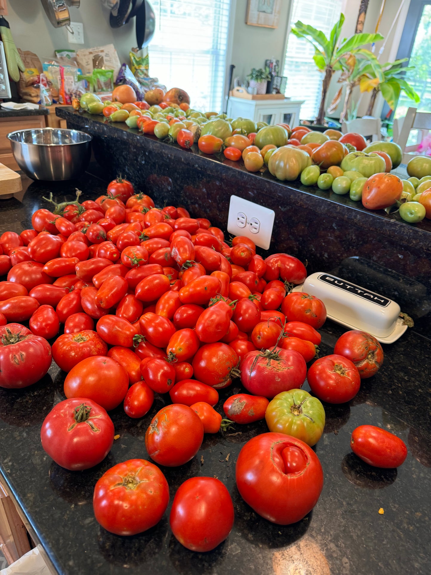 VIRTUAL Workshop - Tomatoes: The Juicy Details (April Dates)