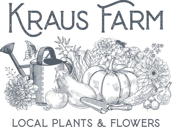Kraus Farm logo with watering can, plants, and flowers in sketched outline