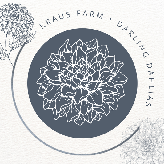 VIRTUAL Workshop - Darling Dahlias (April Dates)