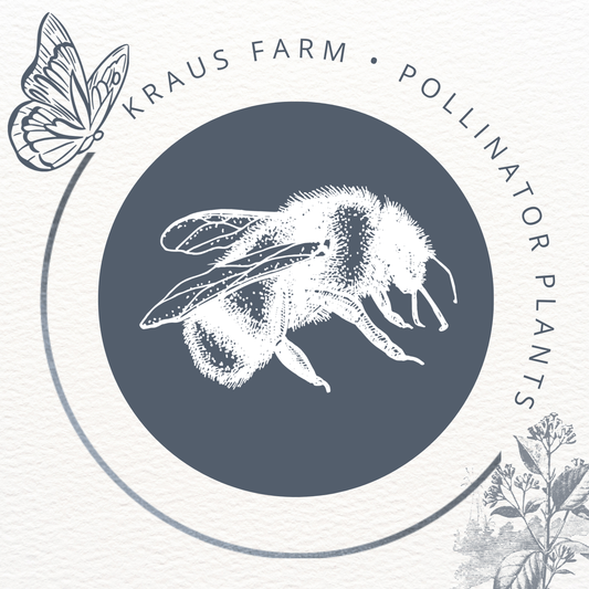 VIRTUAL Workshop - Planting for Pollinators (April Dates)